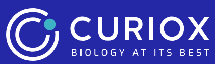 Curiox 懸浮細胞層流洗滌系統
