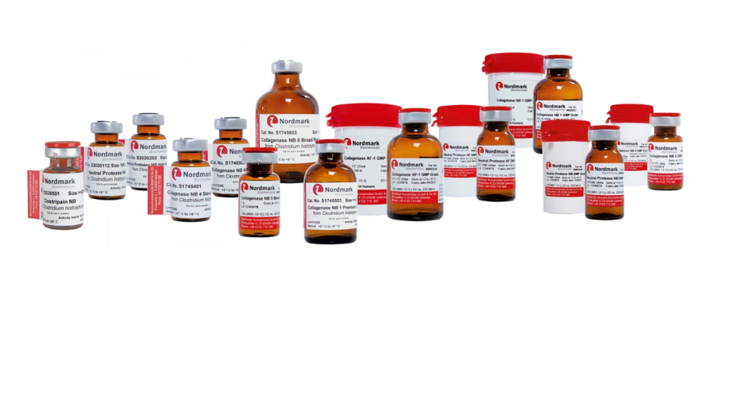 Nordmark Biomedicals-25年膠原酶生產歷史-助力細胞治療和再生醫學