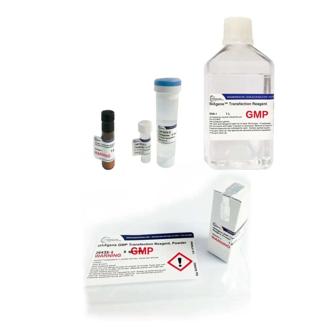 從科研級到cGMP級PEI轉染試劑：美國Polysciences幾十年全線供應方案為基因和細胞治療產業賦能