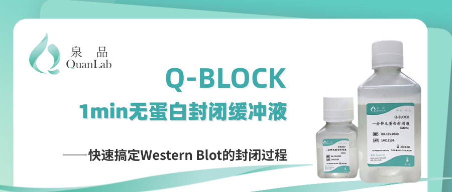 Q-BLOCK 1min無蛋白封閉緩沖液——快速搞定Western Blot的封閉過程