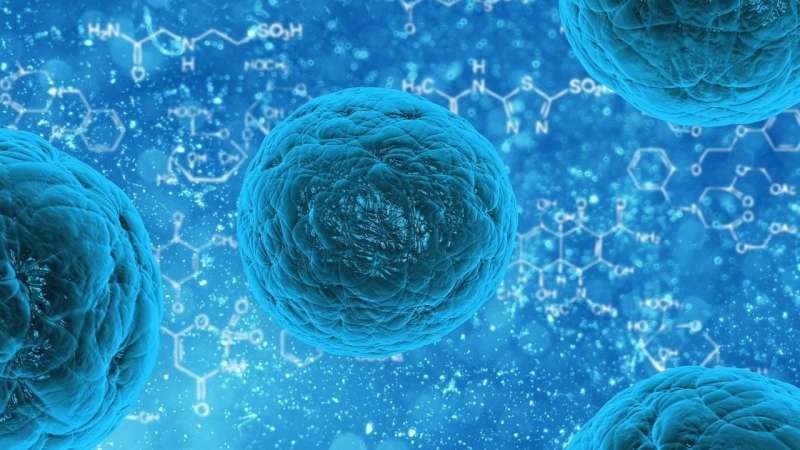 一次性生物反應器在人多能干細胞和成體干細胞再生醫藥方向的應用