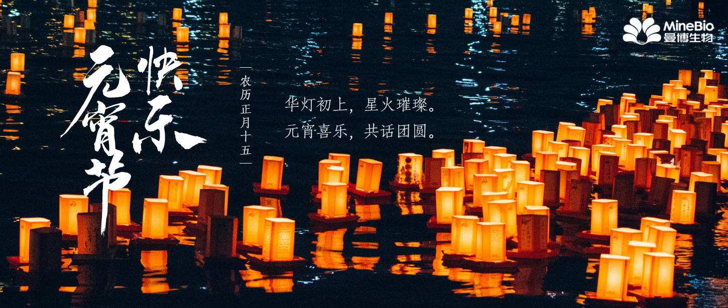 元宵喜樂 | 月與燈依舊，人與人長久