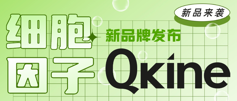 產品上新｜英國QKine高純度、高活性、無動物成分的細胞因子