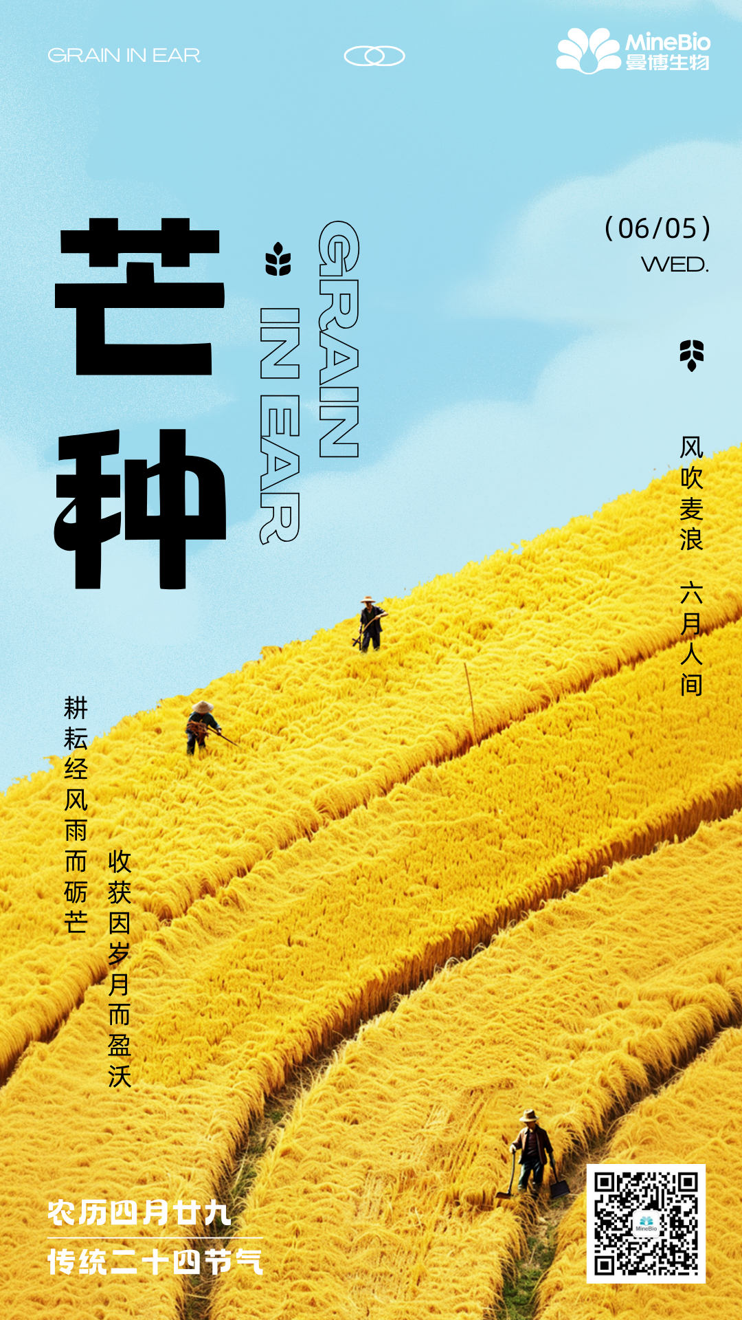 芒種 | “芒”有所獲，“種”有所得