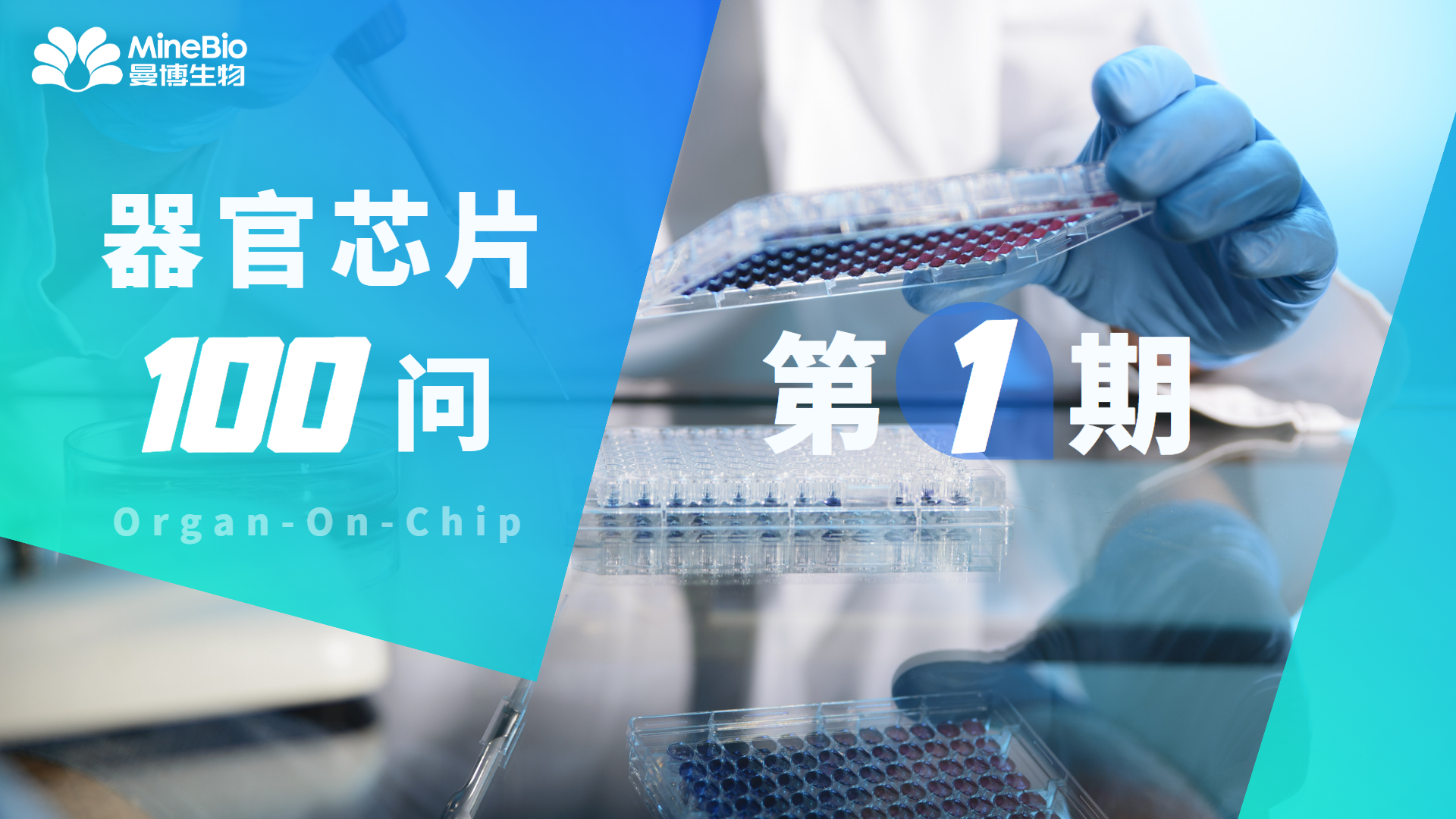 【器官芯片100問】第1期_organ-on-chip_OOC