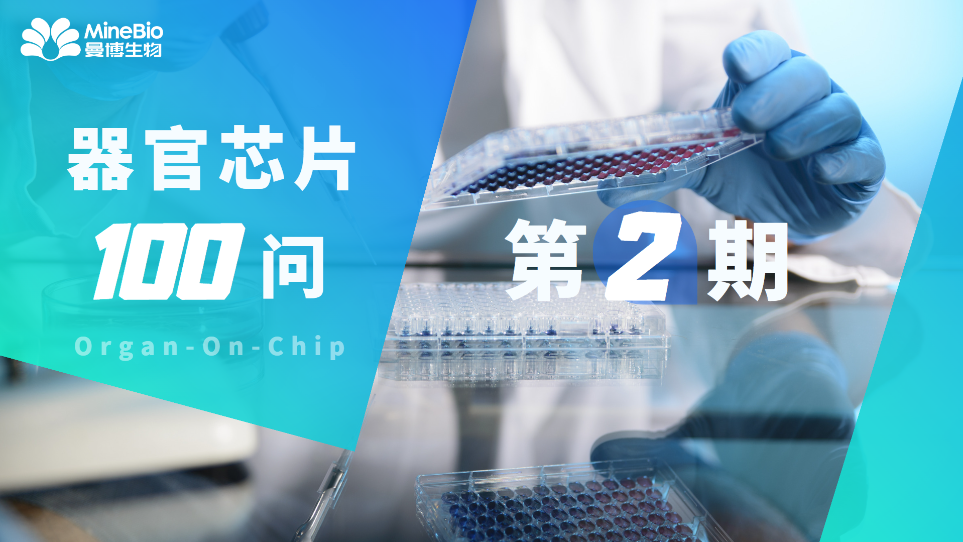 【器官芯片100問】第2期_organ-on-chip_OOC