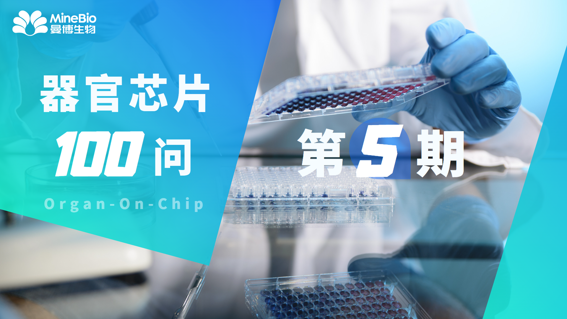 【器官芯片100問】第5期_微流控_OOC