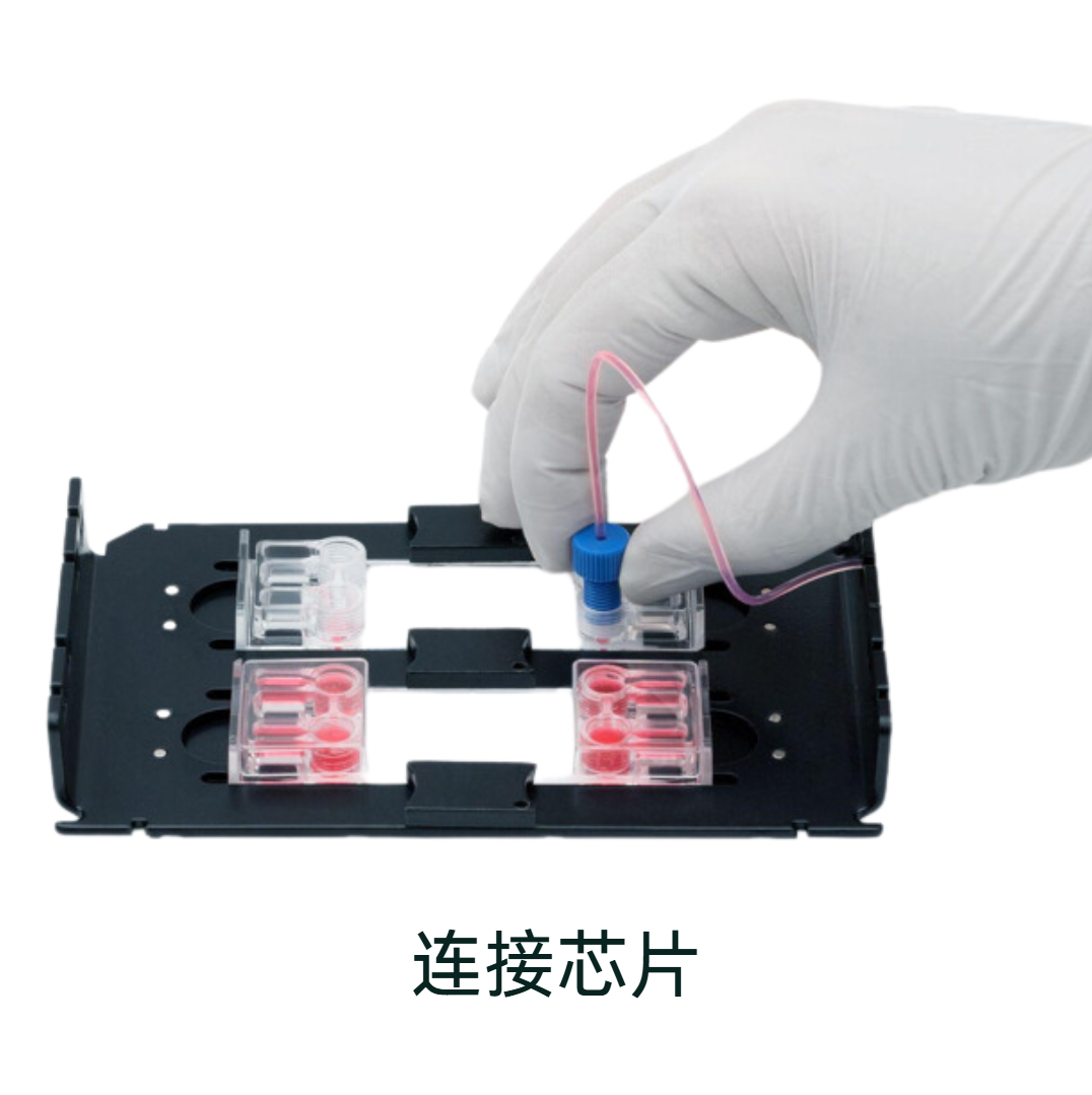Beonchip 配件和連接
