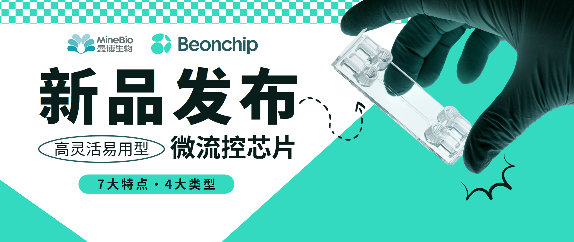 新品發布 | 高靈活易用型Beonchip微流控芯片