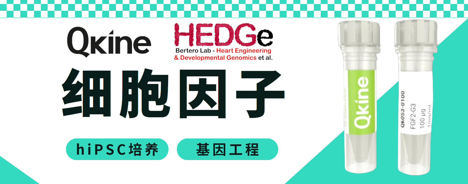 Qkine細胞因子：助您實現經濟有效的hiPSC培養和基因工程