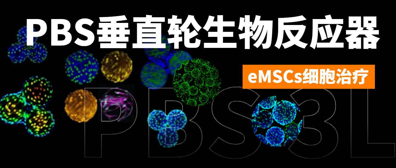 PBS垂直輪生物反應器：推動eMSCs細胞治療邁向臨床