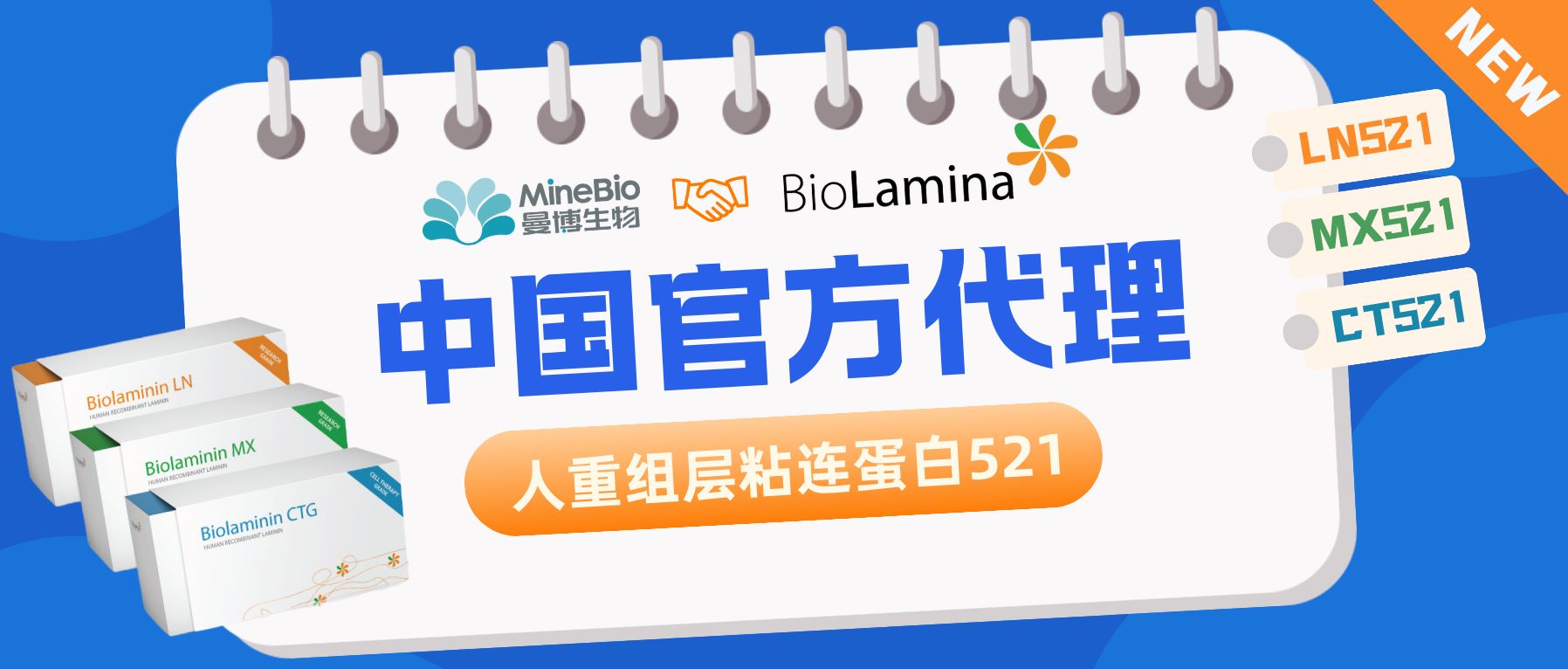 【熱烈祝賀】曼博生物代理瑞典BioLamina人重組層粘連蛋白LN521及全線產品