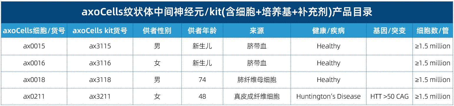 axoCells紋狀體中間神經元產品信息