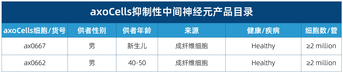 axoCells抑制性中間神經元產品信息