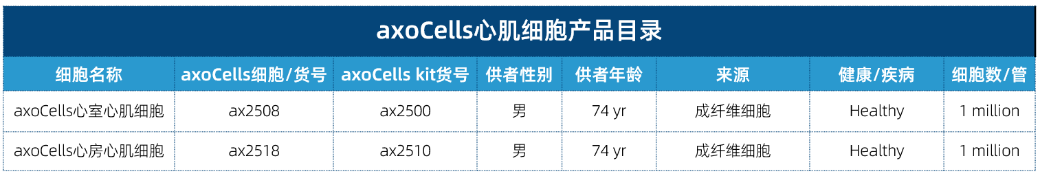 axoCells心肌細胞產品信息