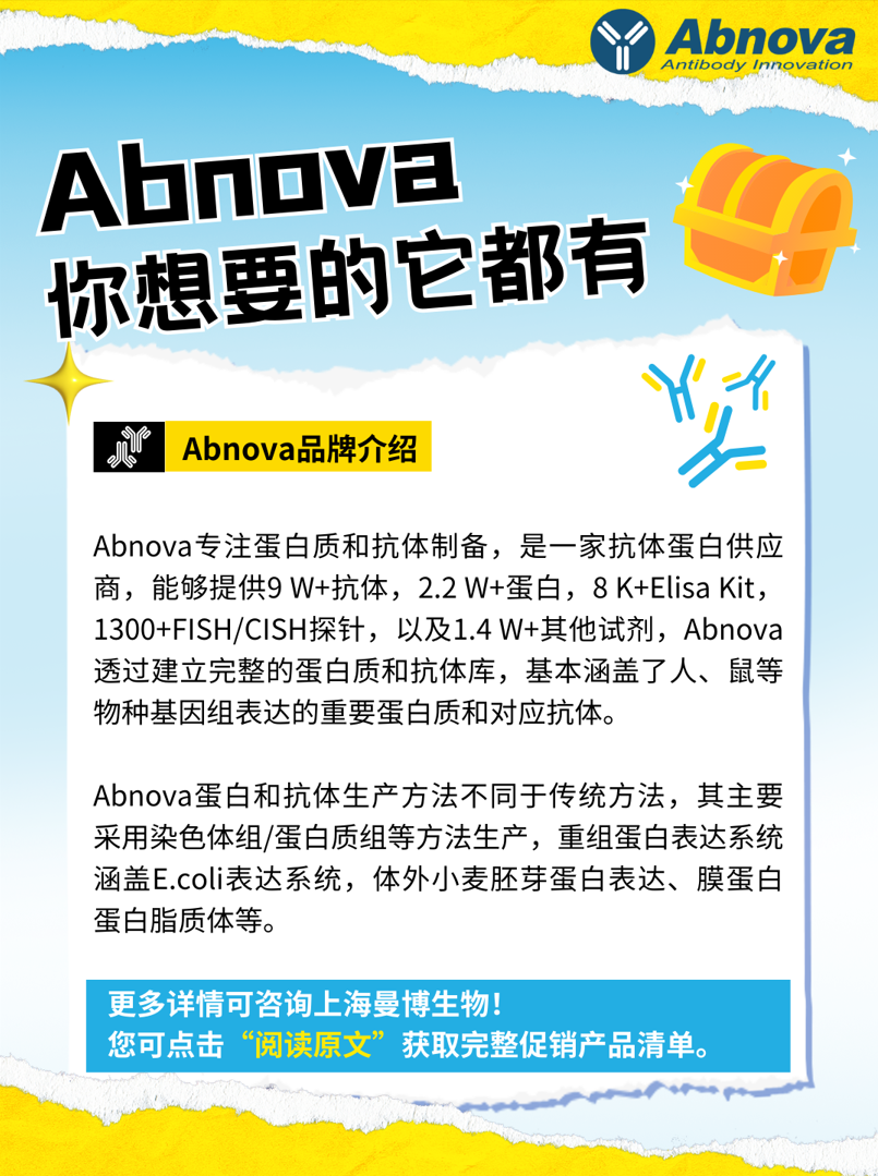 Abnova抗體蛋白2