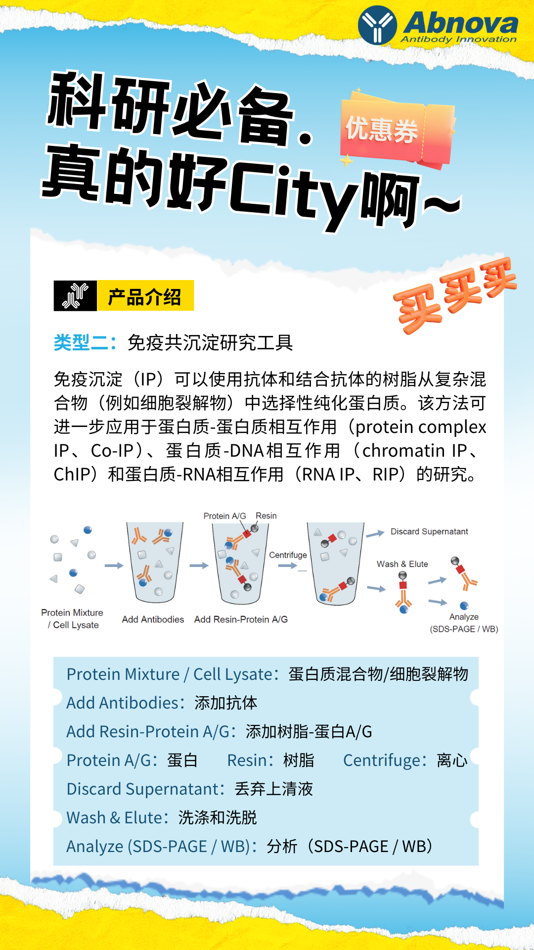 Abnova抗體蛋白5