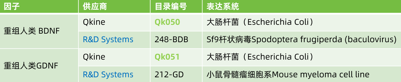 Qkine與R牌BDNF及GDNF的功效比較