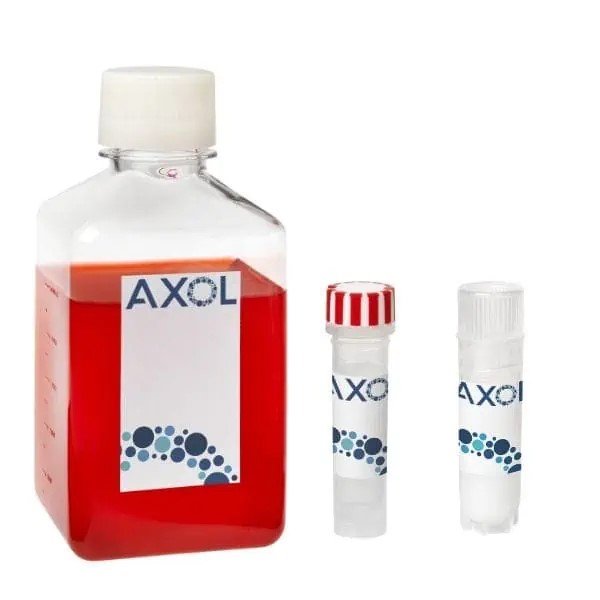 axoCells心房心肌細胞試劑盒