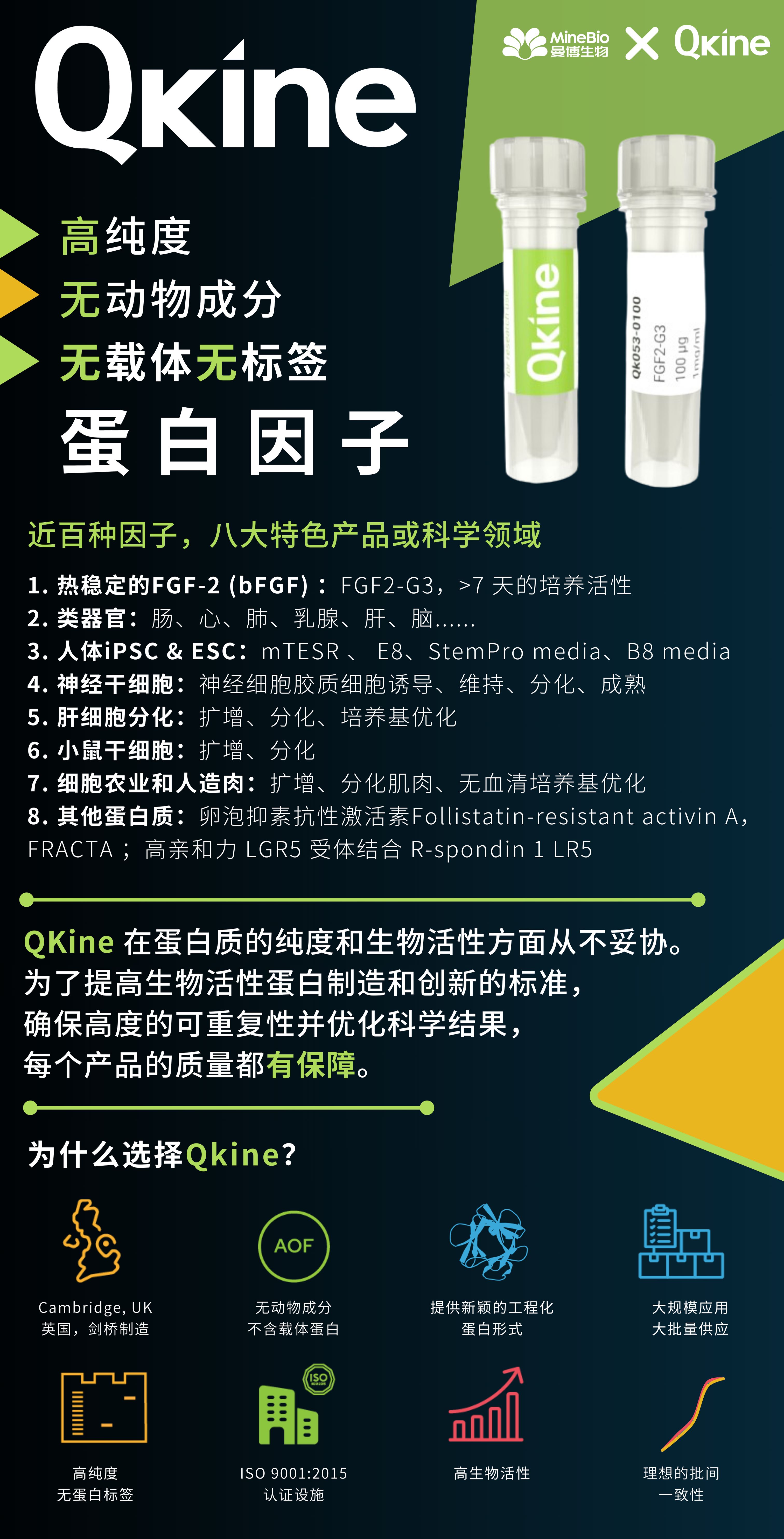 Qkine蛋白因子詳情