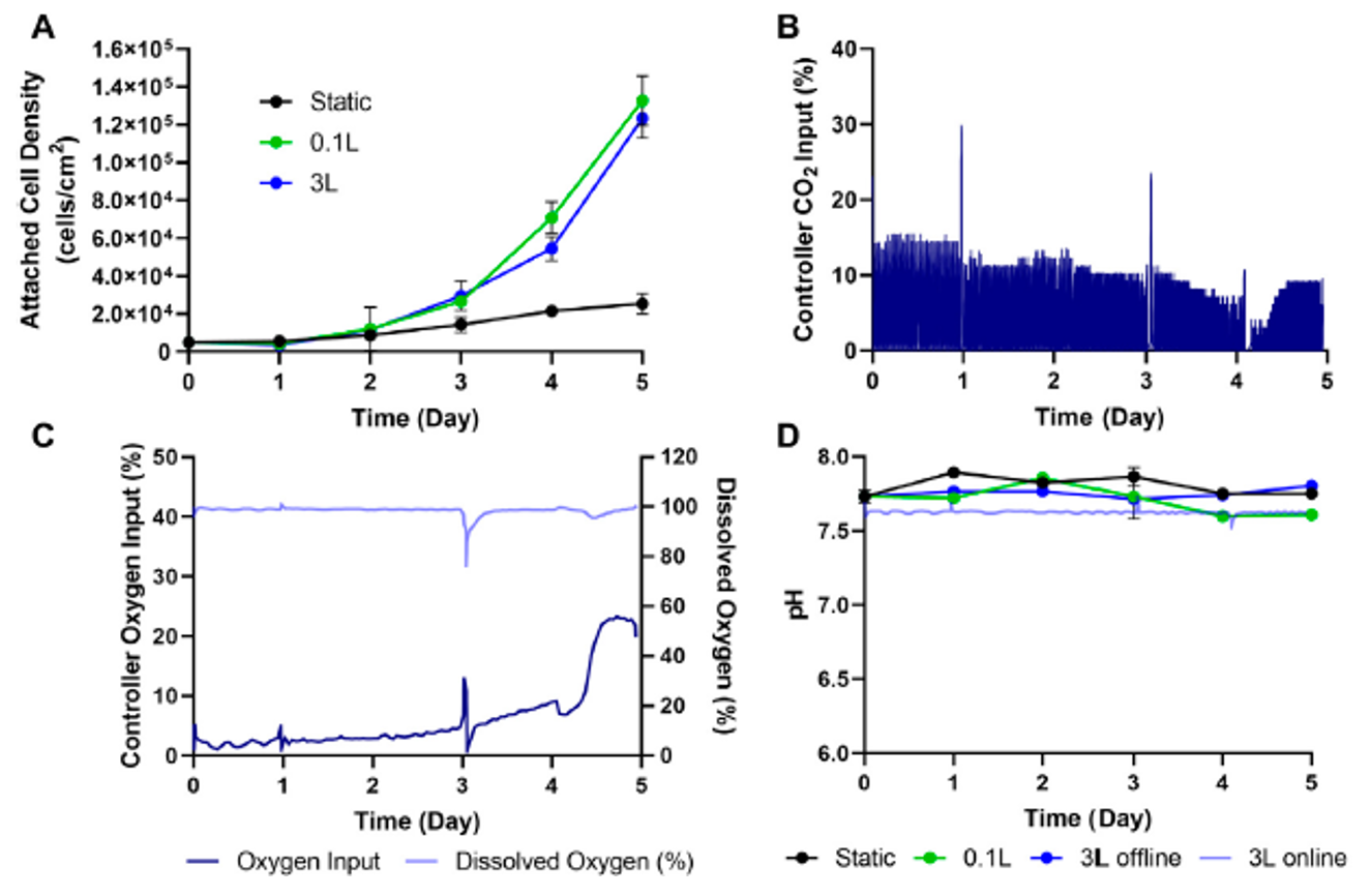 eCB-MSCs在3L垂直輪生物反應器中的擴增，與0.1L垂直輪生物反應器和靜態培養的對比(生物工藝B)