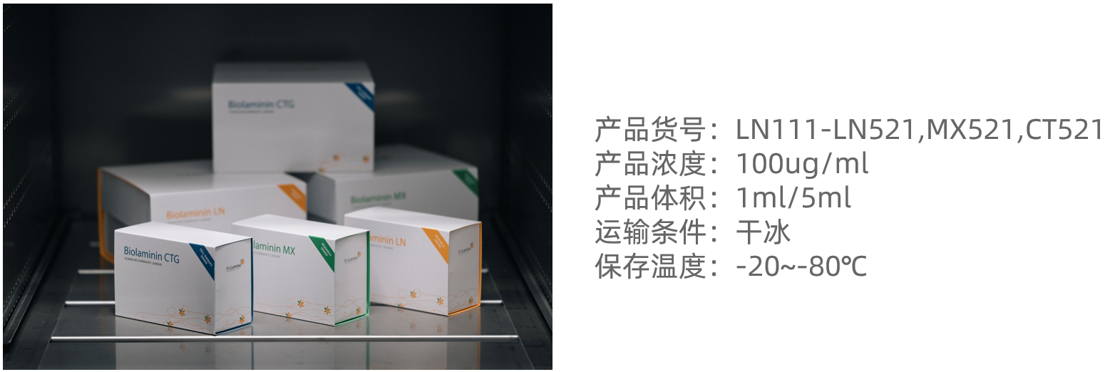BioLamina產品信息