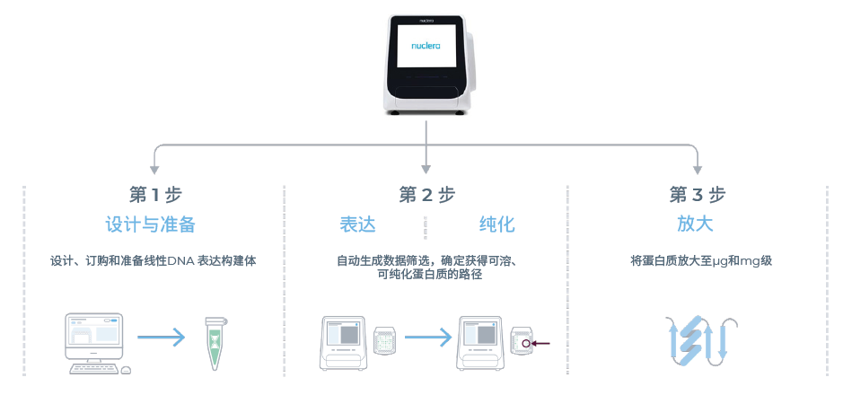 nuclera蛋白原型系統工作流程