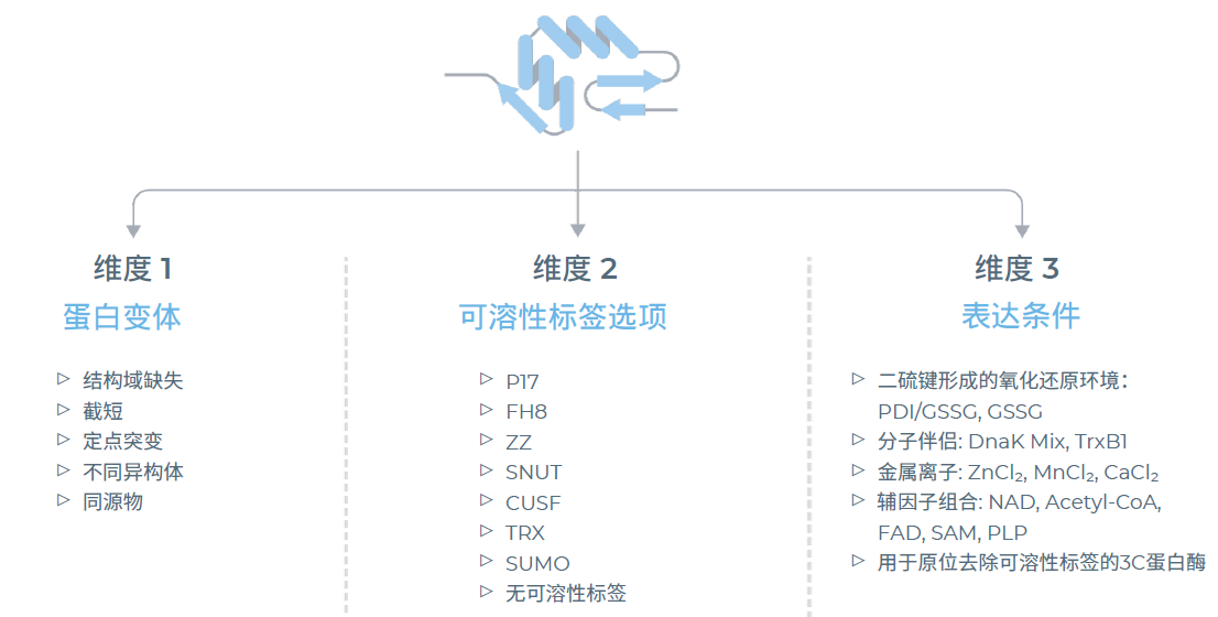 nuclera蛋白原型系統探索多種表達組合