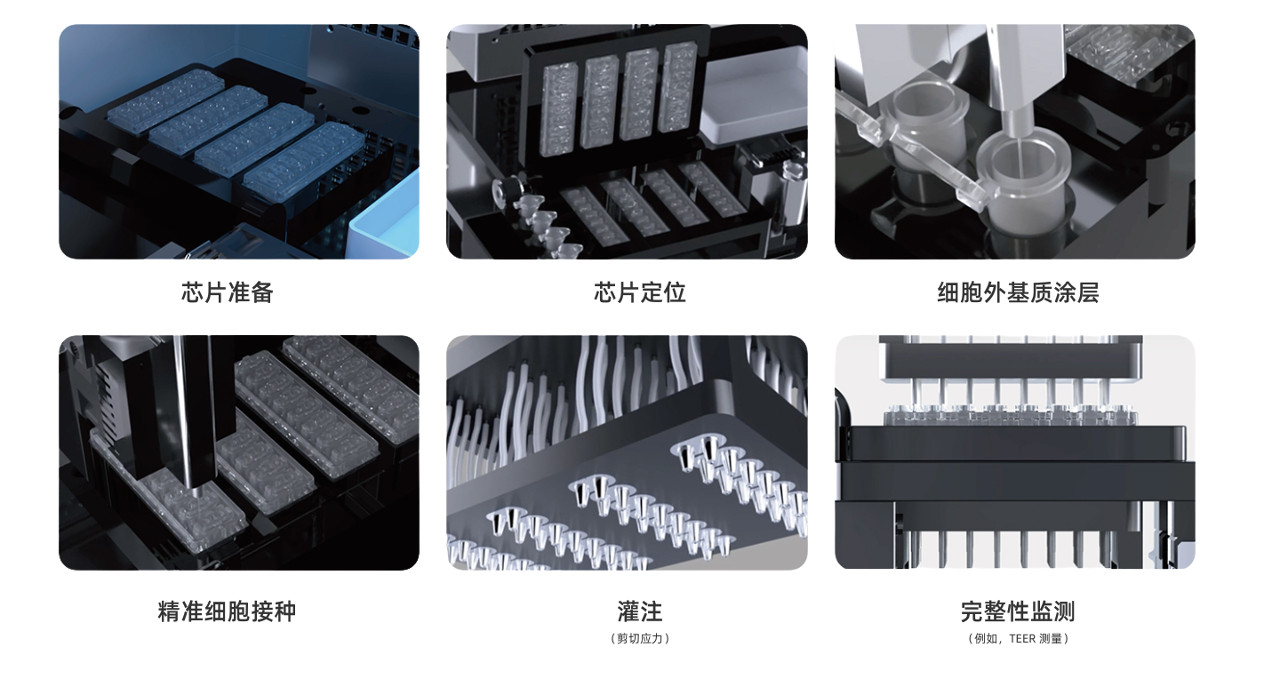 Mepsgen自動化微生理系統功能