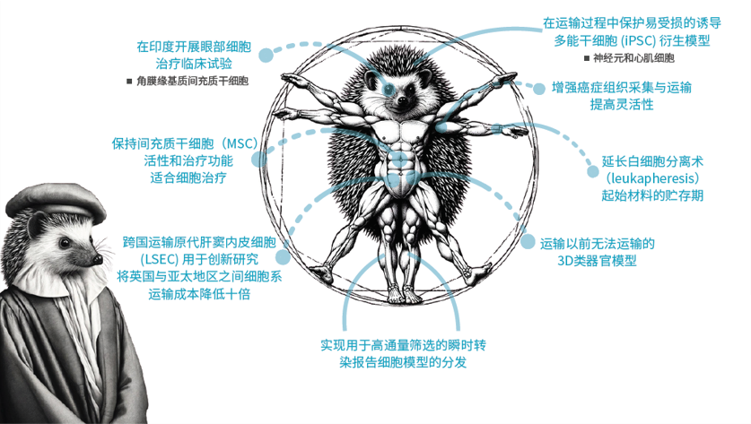 Atelerix產品應用部分成功案例