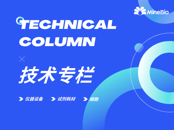 技術專欄