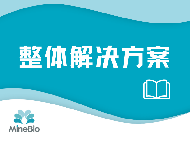 整體解決方案