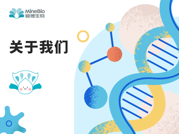 關于我們