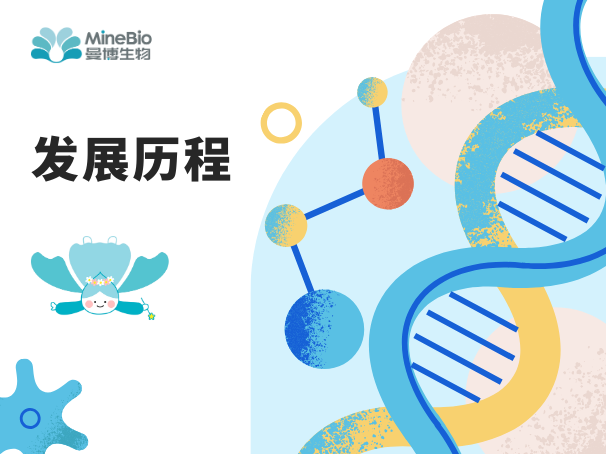 發展歷程