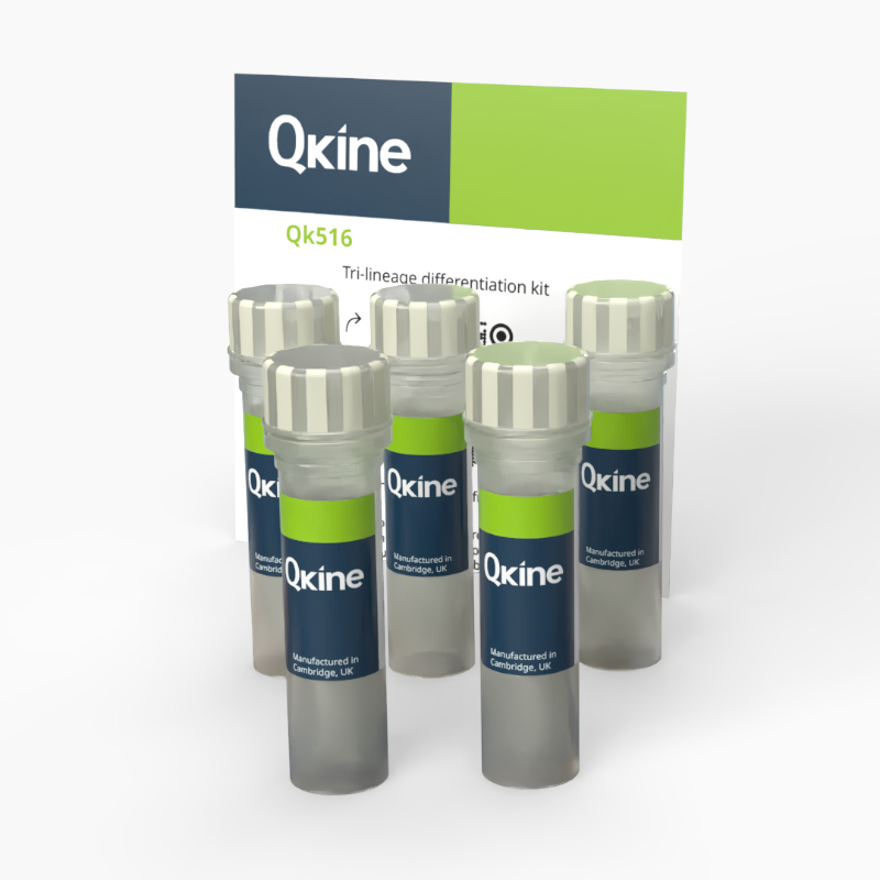 Qkine的三系分化試劑盒(Qk516)