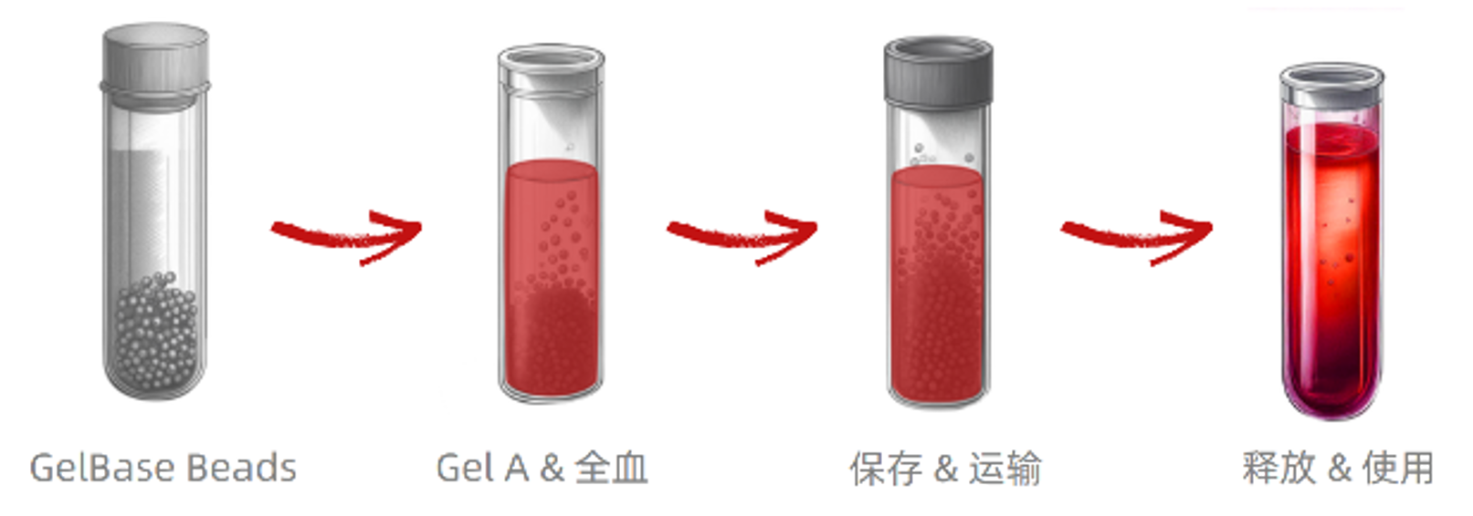 BloodReady產品使用流程