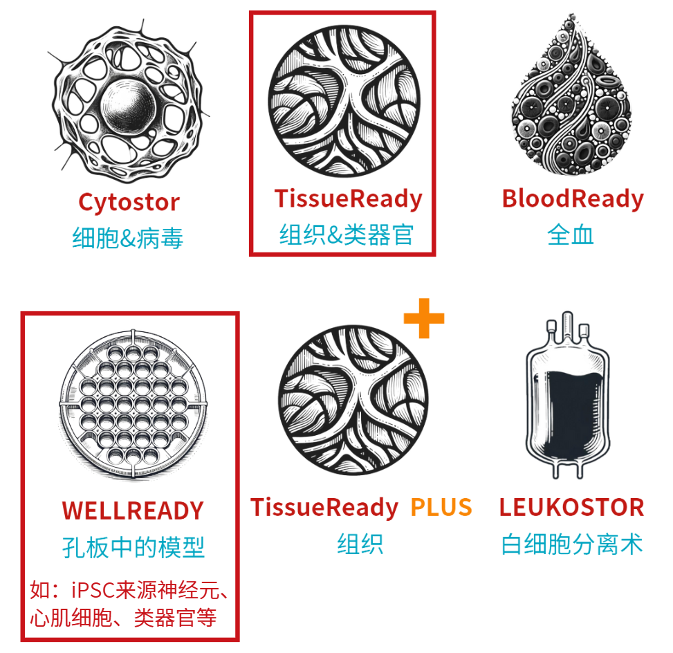 Atelerix類器官保存和運輸凝膠