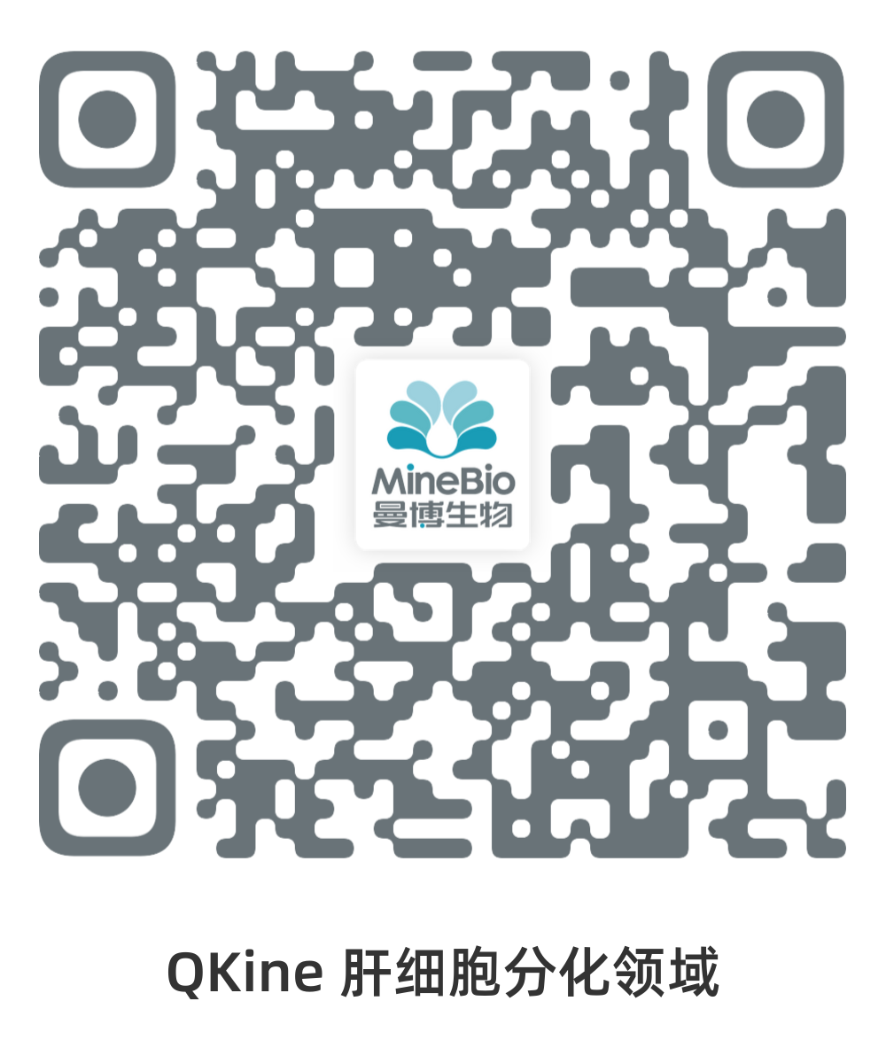QKine-肝細胞分化領域