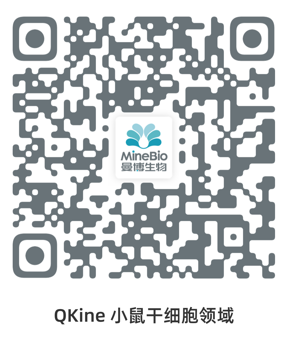 QKine-小鼠干細胞領域
