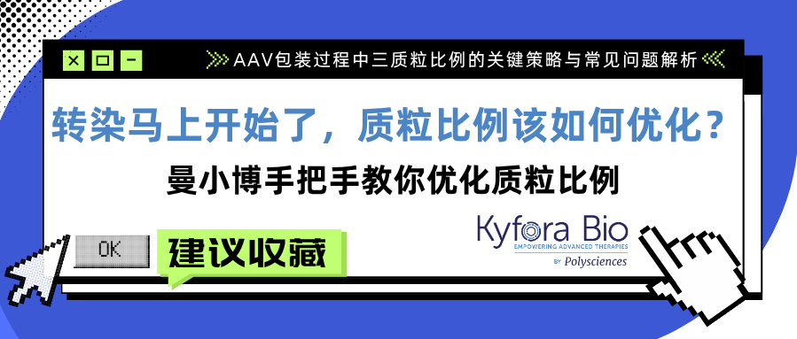 轉染馬上開始了，質粒比例該如何優化？曼小博手把手教你優化質粒比例