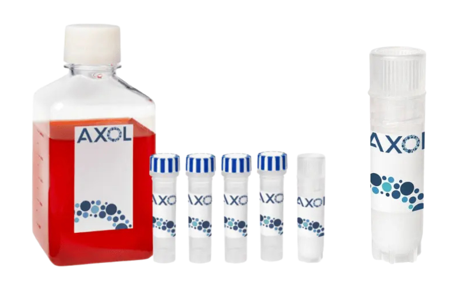 曼博生物代理iPSC衍生細胞axoCells