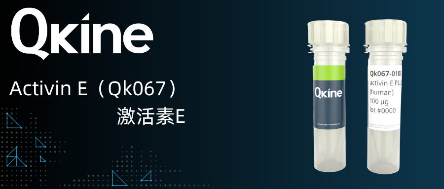 Qkine細胞因子 | Activin E（Qk067）激活素E