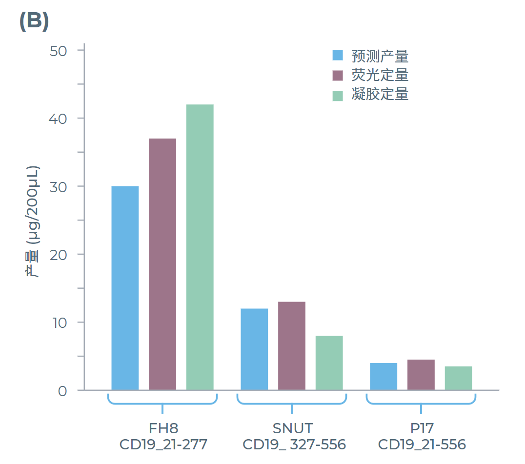 通過內部熒光測定和SDS-PAGE確定的蛋白產量與系統預測產量的對比