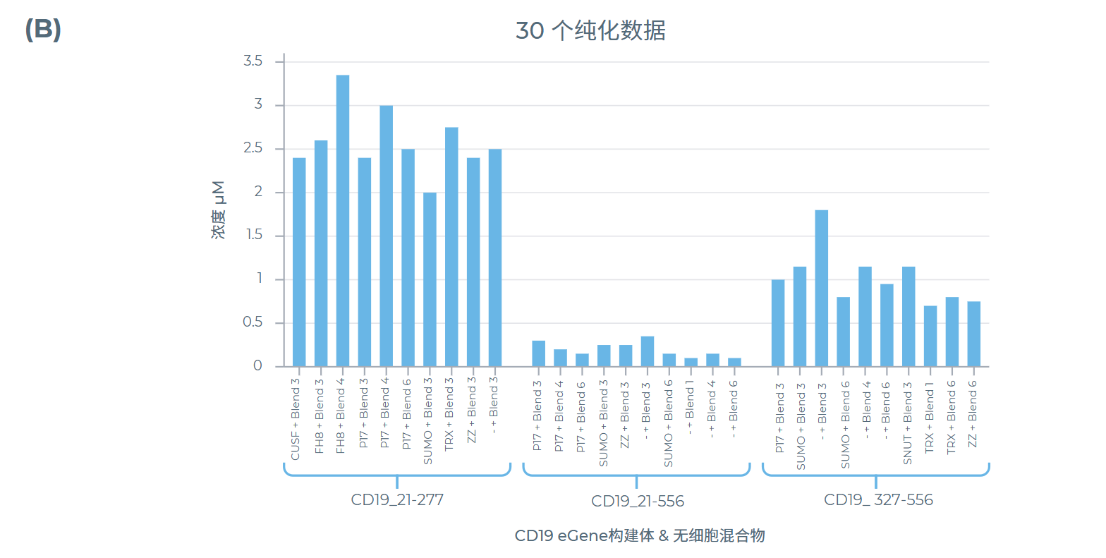 篩選結果:每種CD19長度變體表達量至高的 10 種組合經純化后確定純化濃度