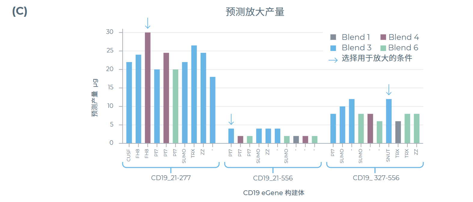 篩選結果:200μL放大體系的預測產量