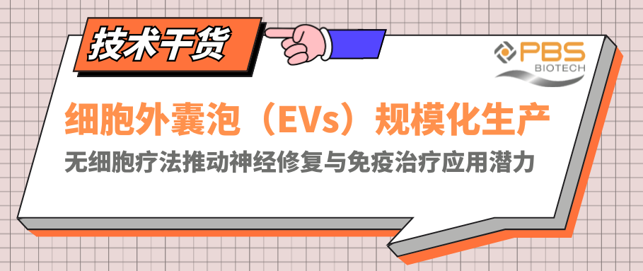 細胞外囊泡（EVs）規模化生產，無細胞療法推動神經修復與免疫治療應用潛力
