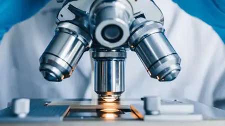 Polysciences標準品，讓每一次實驗結果都成為重中之重！