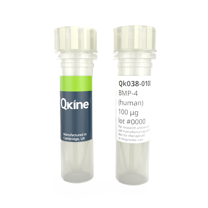 Qkine重組人骨形態發生蛋白-4-Qk038