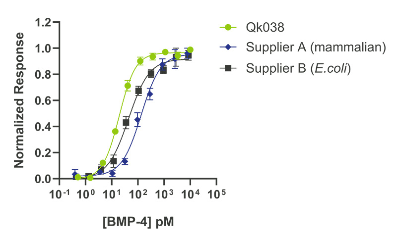 Qkine BMP-4的生物活性高于其他供應商的細菌和哺乳動物表達的BMP-4