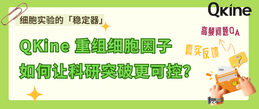細胞實驗的「穩定器」：Qkine 重組細胞因子如何讓科研突破更可控？ 附用戶高頻問題QA&真實反饋